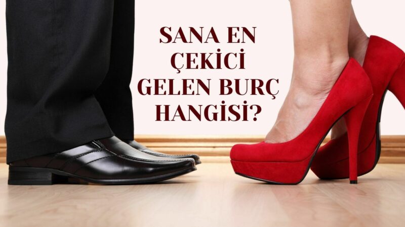 SANA EN ÇEKİCİ GELEN BURÇ HANGİSİ? TESTİ ÇÖZ CEVABI GÖR