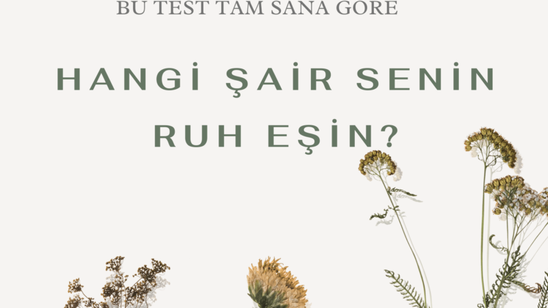 HANGİ ŞAİR SENİN RUH EŞİN? BU TESTİ ÇÖZEREK ÖĞRENEBİLİRSİN