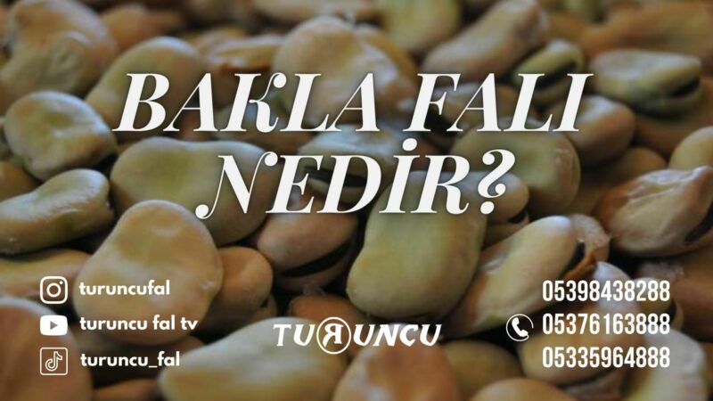 Bakla Falı Nedir?