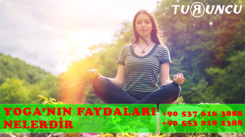Yoga Faydaları