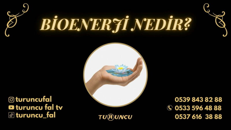 Bioenerji Nedir?