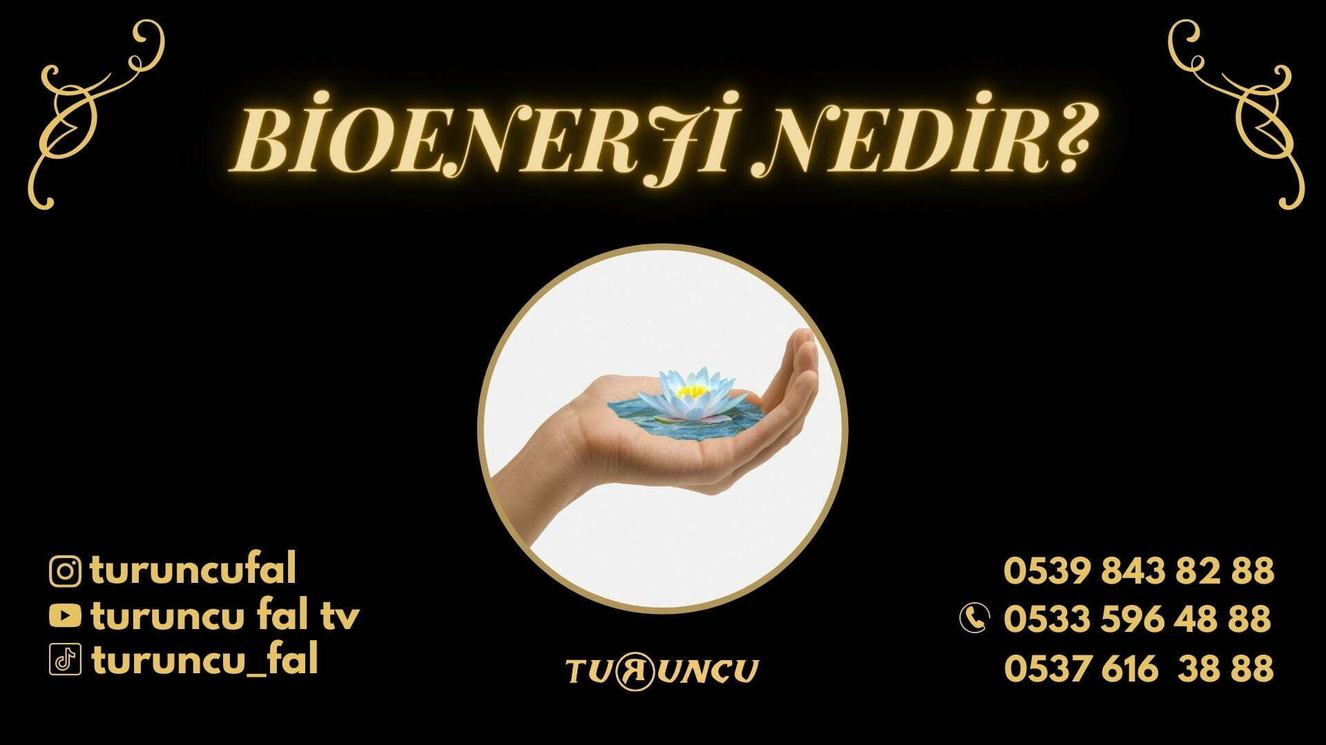 bioenerji biyoenerji nedir, bioenerji biyoenerji çalışması, biyoenerji seansları, çakra açma, enerji, turuncu fal, turuncu falcı, tarot, yildizname, online fal, online bioenerji Bioenerji Nedir?