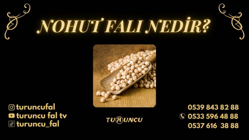 Nohut Falı