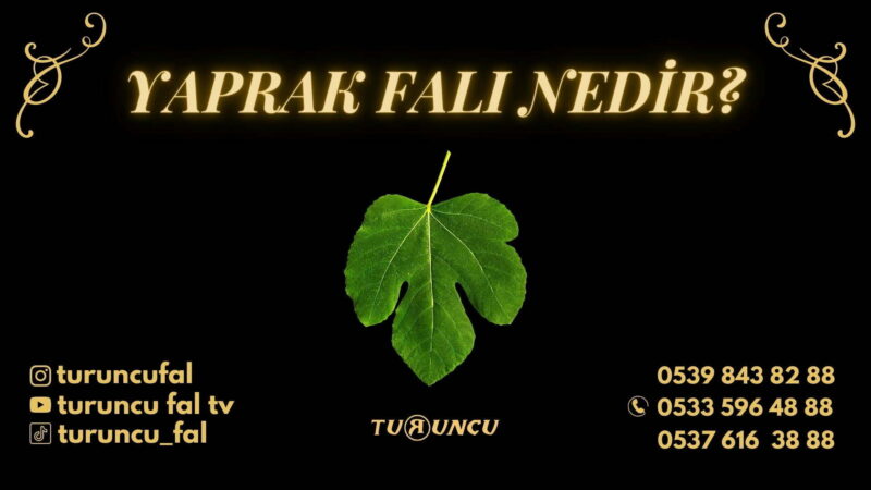 Yaprak Falı