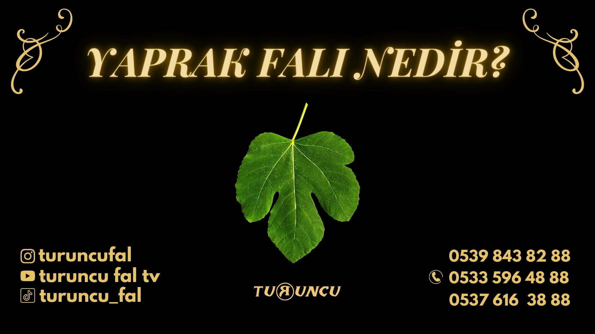 Yaprak Falı | Turuncu Fal Cafe online canlı telefon sanal gerçek fal, tarot kahve su katina aşk yıldız yildiz yaprak burç falı, fal çeşitleri, en iyi fal, fal, falcı Yaprak Falı
