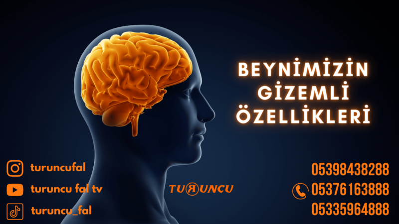 Beynimizin Gizemli Özellikleri