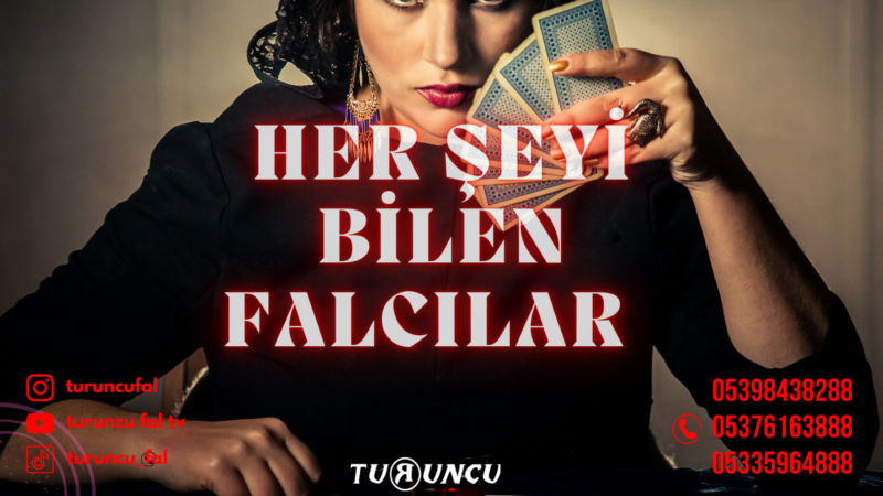 HerŞeyi Bilen Falcılar  